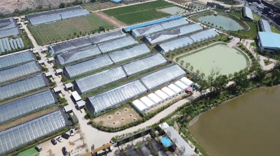 “农文旅”融合赋能乡村振兴 绘就共富新画卷