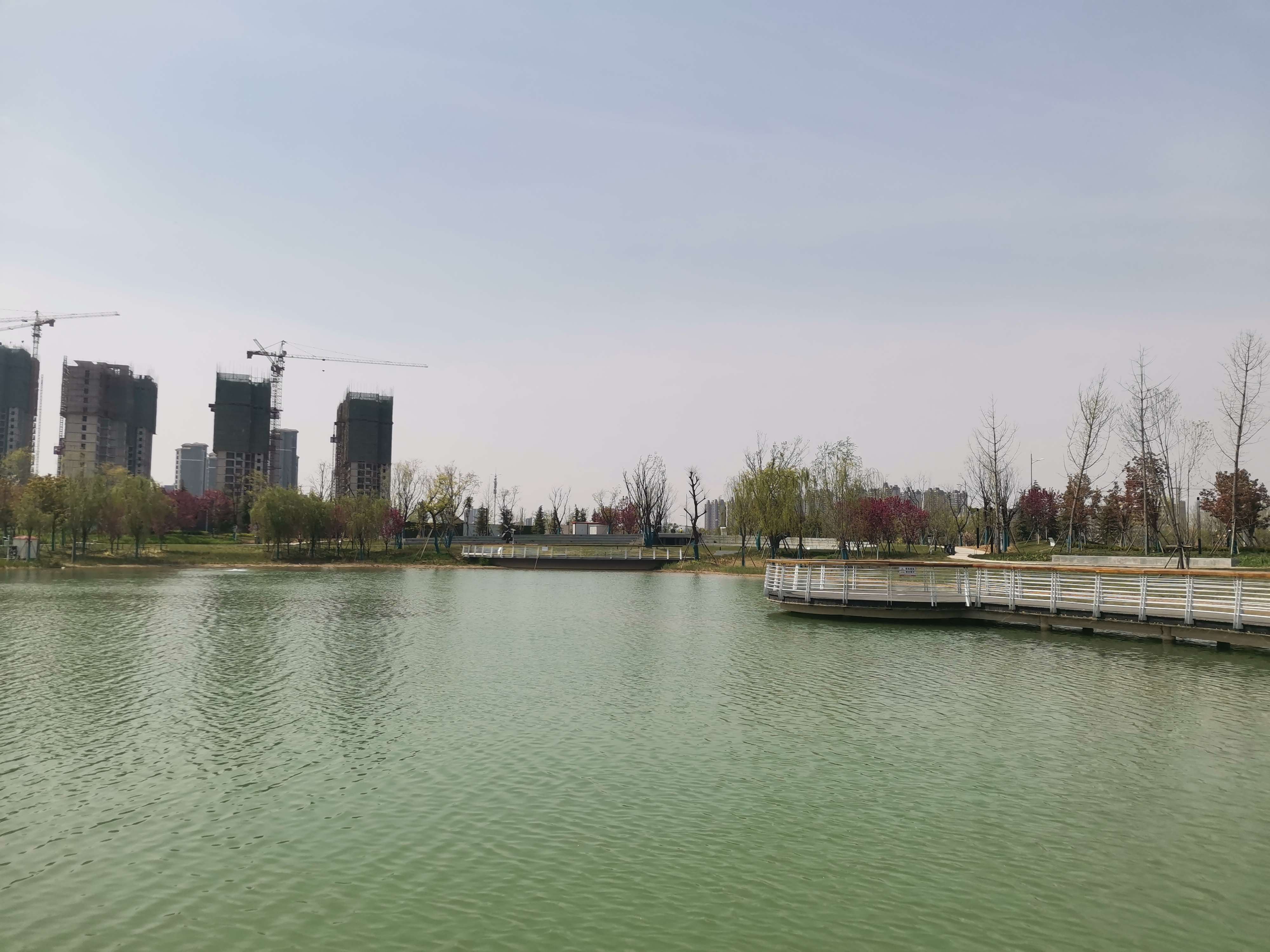 芙蓉湖春色宜人